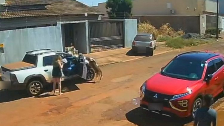 TJGO afasta oficial de justiça que atirou contra cachorro em Santa Helena
