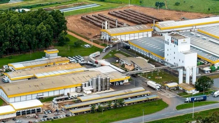 Ranking mostra as 10 maiores empresas de Goiás; veja quais são e quanto faturam