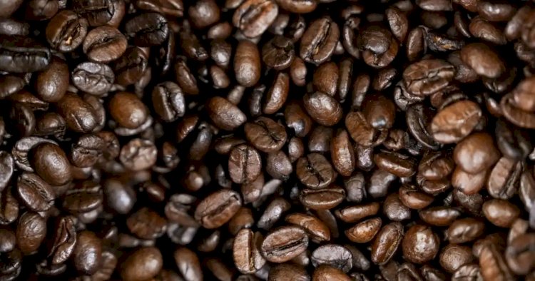 Possível recorde para safra de café do Brasil em 2026 anima setor para repor estoques