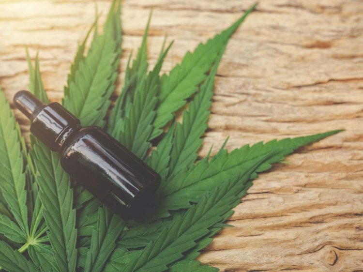 Cannabis medicinal: entenda os benefícios e para quem é indicada