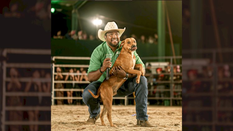 Cachorro caramelo vira herói em rodeio e é adotado por locutor em Rialma