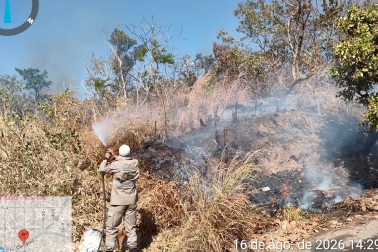Rompimento de fio de energia causa incêndio e quase atinge condomínio em Goianésia